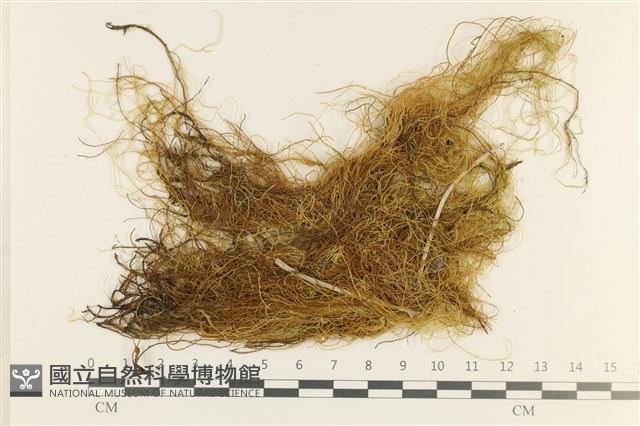 登錄號:B00012834藏品圖，第1張