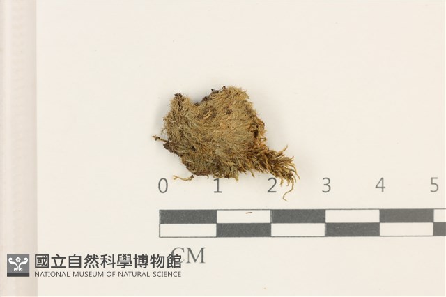 登錄號:B00008834藏品圖，第1張