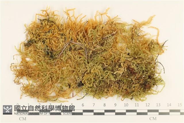 登錄號:B00010834藏品圖，第1張