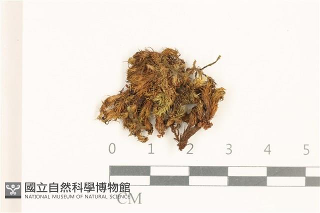 登錄號:B00016954藏品圖，第1張