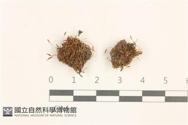 登錄號:B00021224藏品圖，第1張