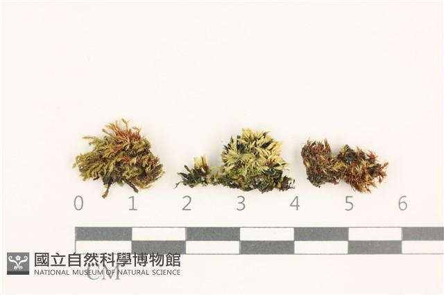 登錄號:B00011024藏品圖，第1張