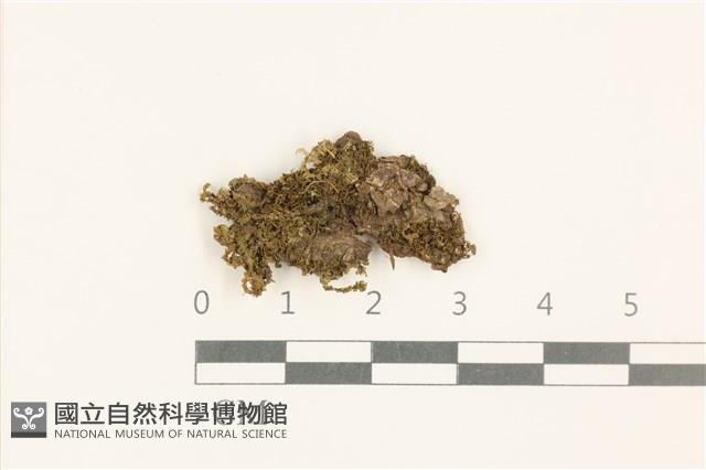 登錄號:B00008924藏品圖，第1張