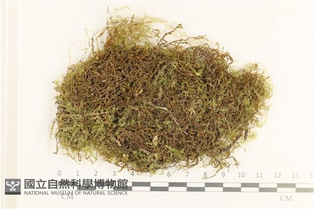 登錄號:B00016924藏品圖，第1張