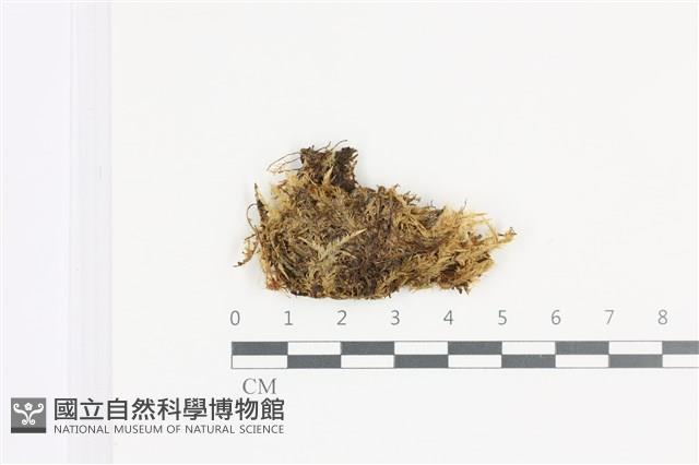 登錄號:B00011924藏品圖，第1張