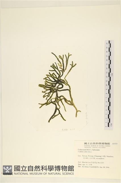 登錄號:A00001924藏品圖，第3張