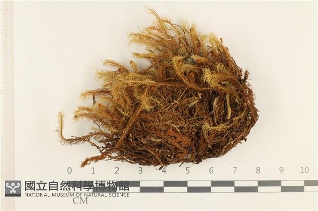 登錄號:B00017824藏品圖，第1張
