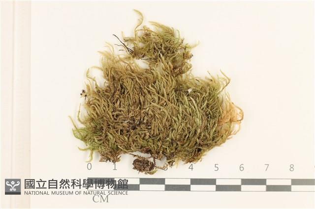 登錄號:B00015824藏品圖，第1張