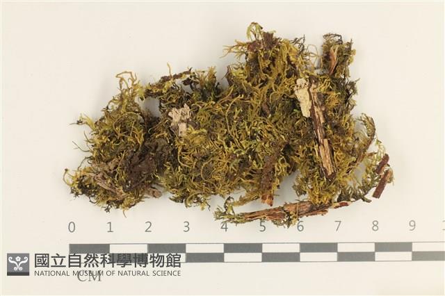 登錄號:B00020824藏品圖，第1張
