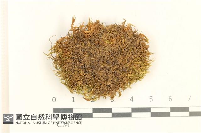 Accession Number:B00002274 Collection Image, Figure 1, Total 2 Figures