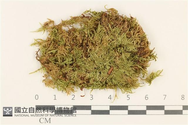 登錄號:B00011974藏品圖，第1張