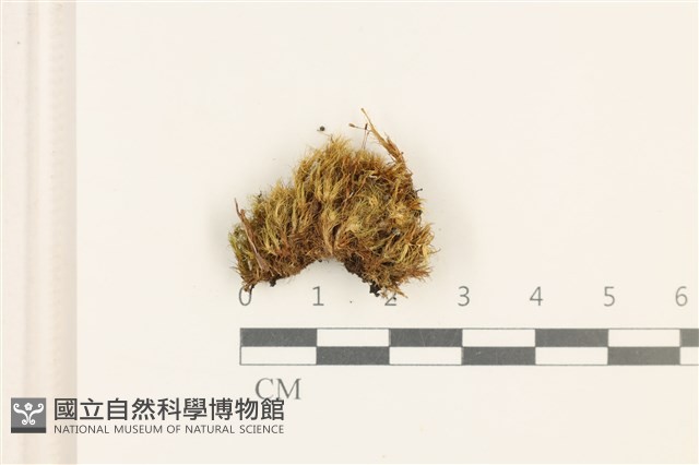 登錄號:B00010974藏品圖，第1張