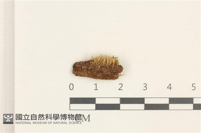 登錄號:B00001874藏品圖，第1張