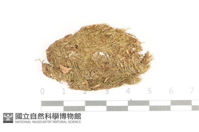 登錄號:B00001294藏品圖，第1張