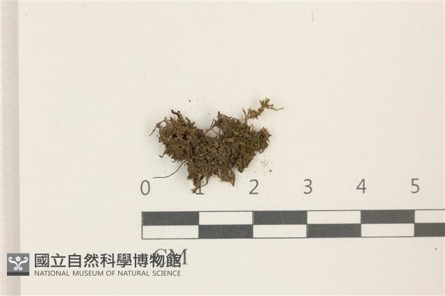 登錄號:B00014094藏品圖，第1張