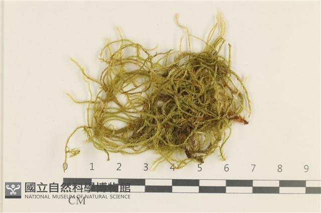 登錄號:B00000194藏品圖，第1張