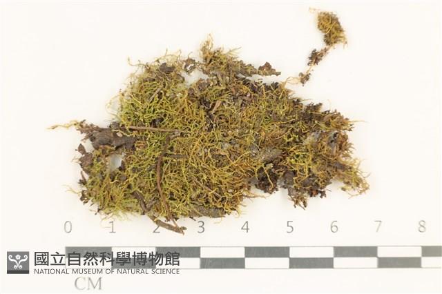 登錄號:B00002994藏品圖，第1張