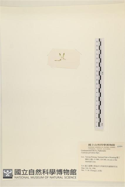 登錄號:A00004894藏品圖，第3張