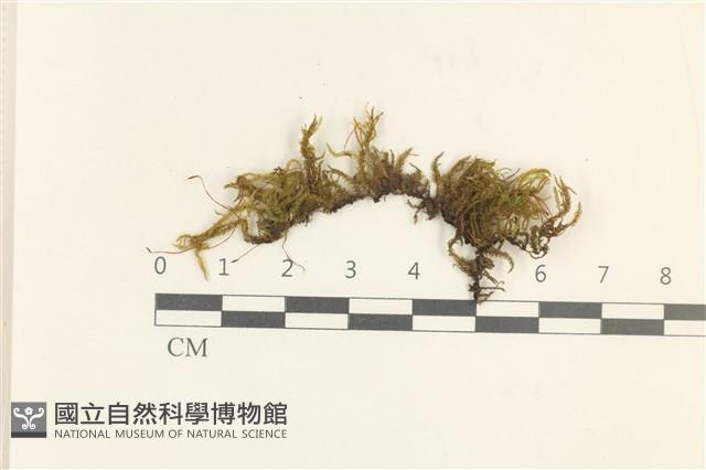 登錄號:B00011894藏品圖，第1張