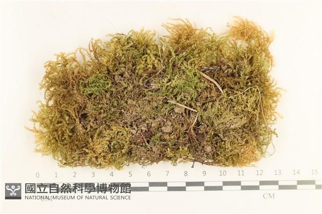 登錄號:B00003894藏品圖，第1張