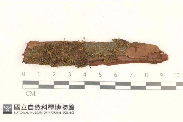 登錄號:B00017944藏品圖，第1張