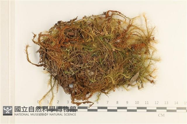 登錄號:B00017844藏品圖，第1張