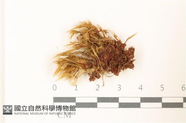 登錄號:B00016964藏品圖，第1張