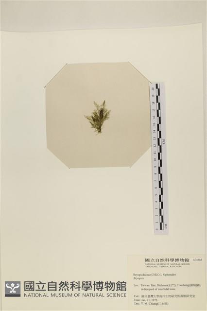 登錄號:A00004864藏品圖，第3張