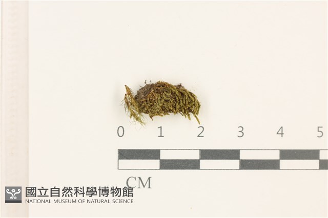 登錄號:B00015864藏品圖，第1張