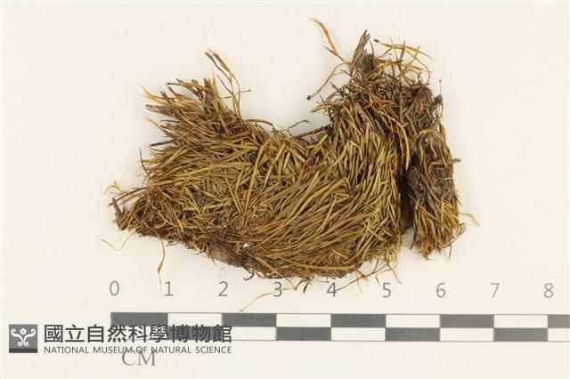 登錄號:B00001864藏品圖，第1張