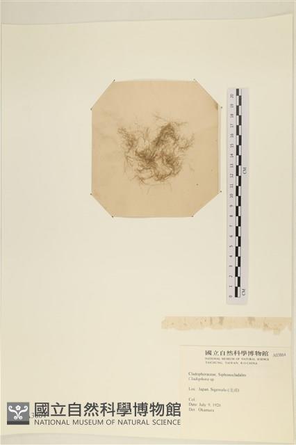 登錄號:A00003864藏品圖，第1張