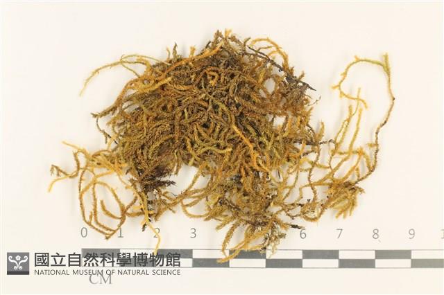 登錄號:B00000204藏品圖，第1張