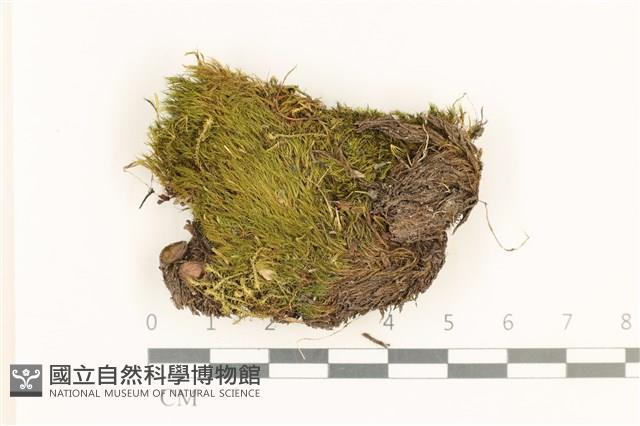 登錄號:B00012004藏品圖，第1張