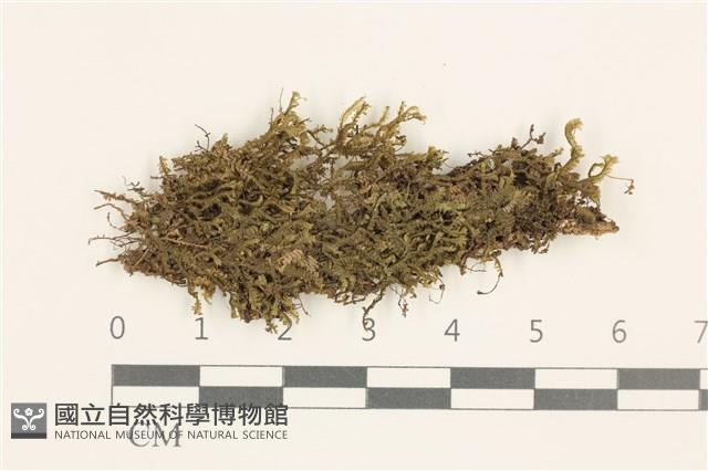 登錄號:B00011004藏品圖，第1張