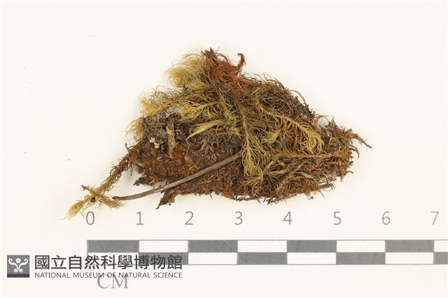 登錄號:B00003104藏品圖，第1張
