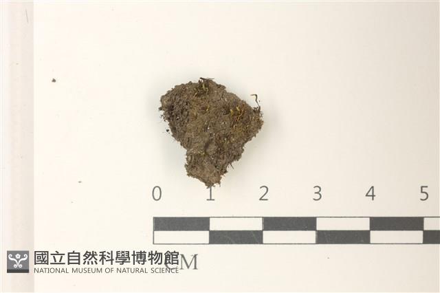 登錄號:B00015804藏品圖，第1張