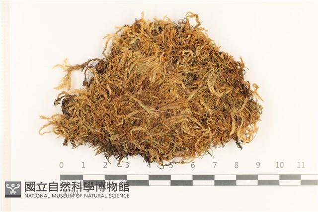 登錄號:B00001804藏品圖，第1張