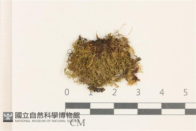 登錄號:B00004984藏品圖，第1張