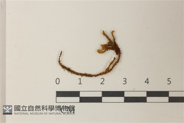 登錄號:B00005984藏品圖，第1張