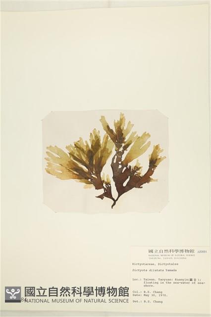 登錄號:A00000884藏品圖，第3張
