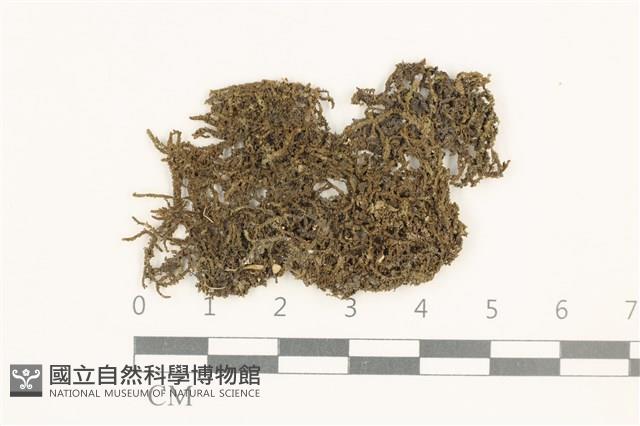 登錄號:B00000937藏品圖，第1張