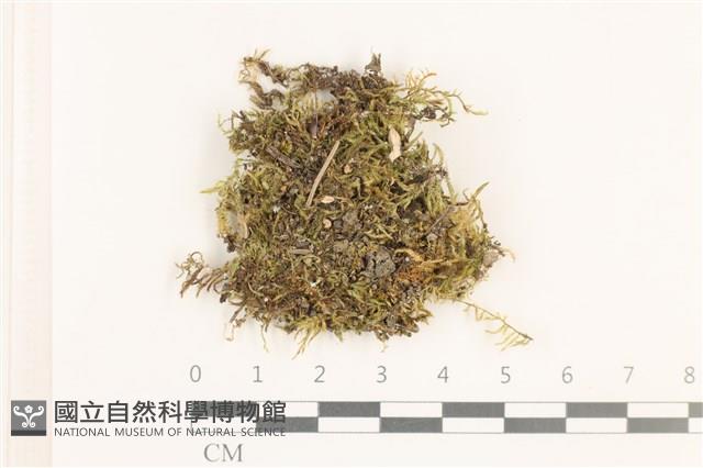 登錄號:B00012837藏品圖，第1張