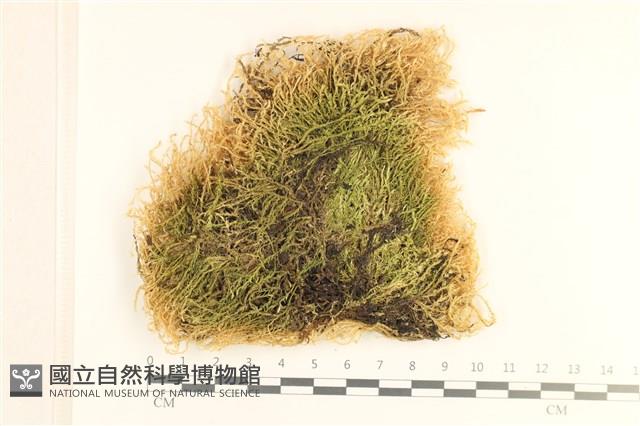 登錄號:B00020027藏品圖，第1張