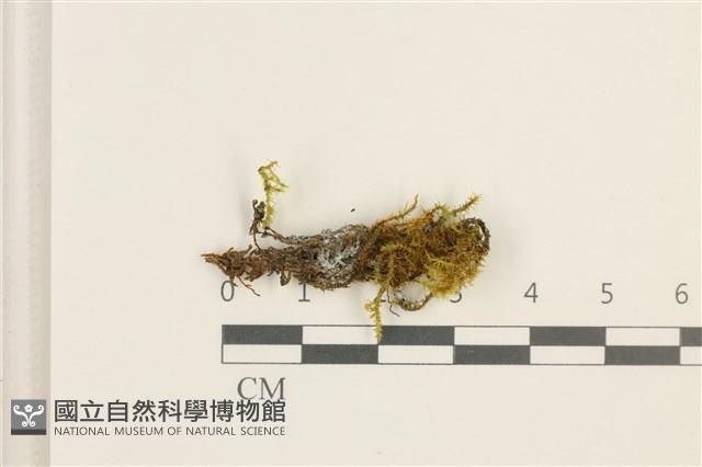 登錄號:B00003027藏品圖，第1張