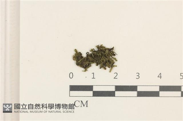登錄號:B00021127藏品圖，第1張