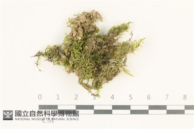 登錄號:B00012827藏品圖，第1張