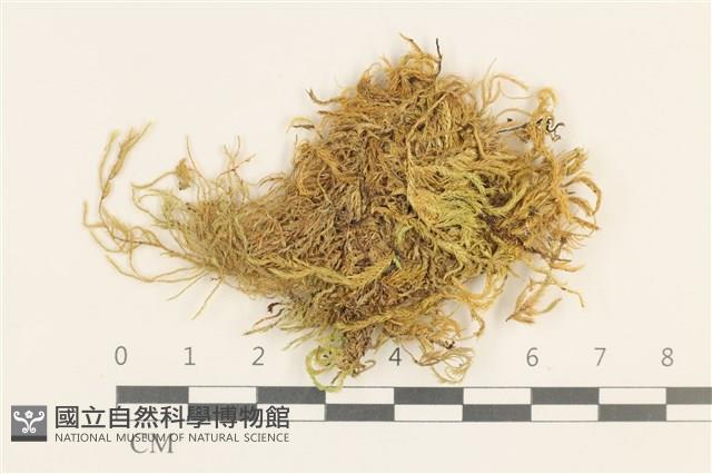 登錄號:B00015827藏品圖，第1張
