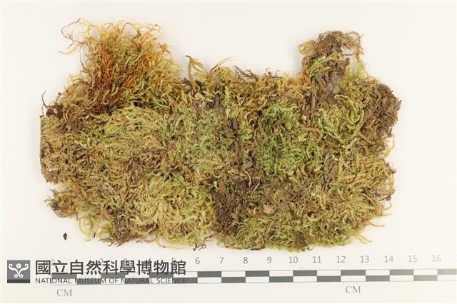 登錄號:B00011077藏品圖，第1張