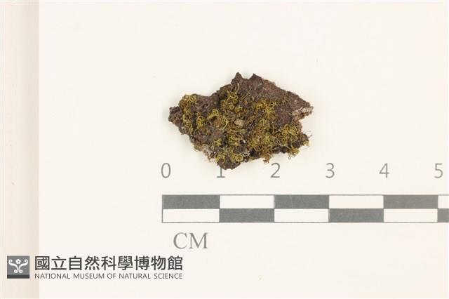 登錄號:B00008977藏品圖，第1張