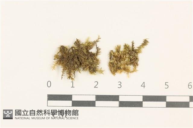 登錄號:B00011977藏品圖，第1張